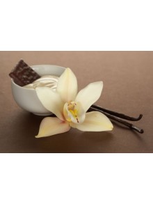 TPA French Vanilla aroma, eliquid aroma